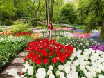 Keukenhof Gardens, Netherlands