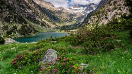 Mountain paradise - hills, beautiful, grass, meadow, freshness, mountain, view, lake, paradise, rocks