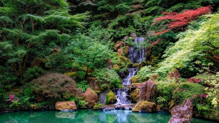 Water cascades in park - greenery, cascades, trees, water, summer, pond, beautiful, spring, forest, reflection, stones, flowers, waterfall, plants