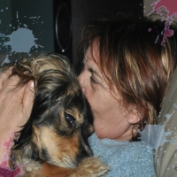 my lovely sara
