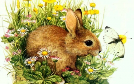 springtime - springtime, natur, rabbit, butterflies