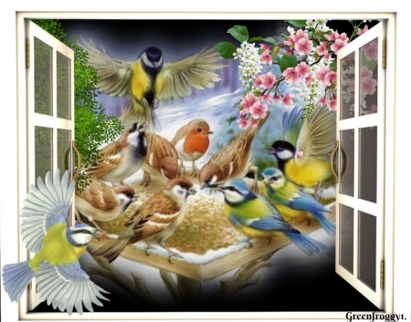 little birds - natur, birds, window, animals