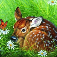 deer and butterfly