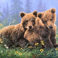 young bears