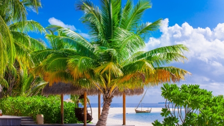 Tropical Beach - clouds, sea, palm trees, umbrellas, sky