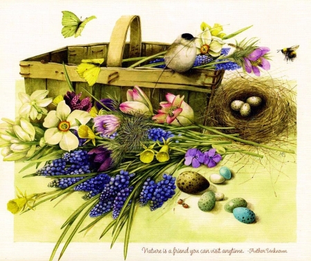 springtime - birds, flowers, springtime, spring