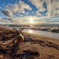 Sunset in Latvia