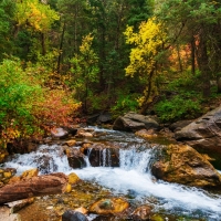 American Fork Canyon, Utah