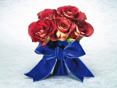 Roses - beautiful, red, blue