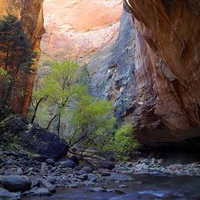 Zion Narrows Zion National Park