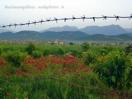 myoldpic,mariwan,kurdestan,iran - mariwan, kurdestan, iran, myoldpic