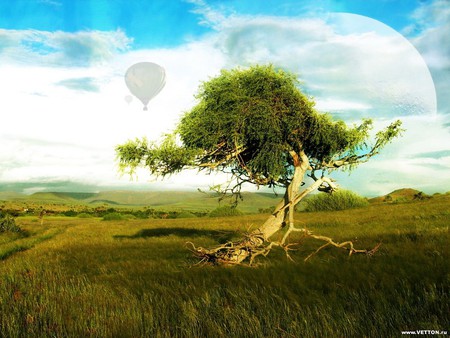 Tree in Field by mneti - clouds, moon, balloon, field, tree, sky