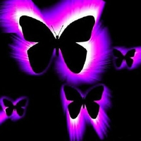 PURPLE  BUTTERFLIES