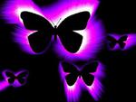 PURPLE  BUTTERFLIES