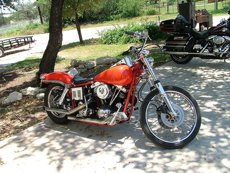 At The Park Having A Cold Beer And BBQ............ - motorcycles, harley davidson, choppers