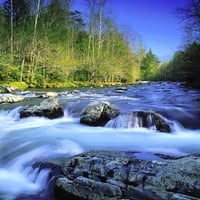 Fast Flowing River In HD