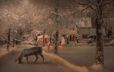 A reindeer at the entrance - house, snow, winter, reindeer