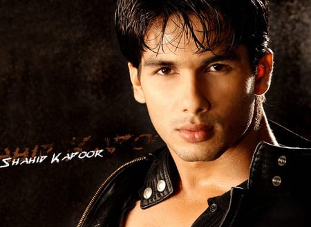 SHAHID - shahid kapoor, bollywood