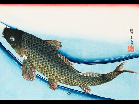 Swimming Carp - painting, abstract, carp