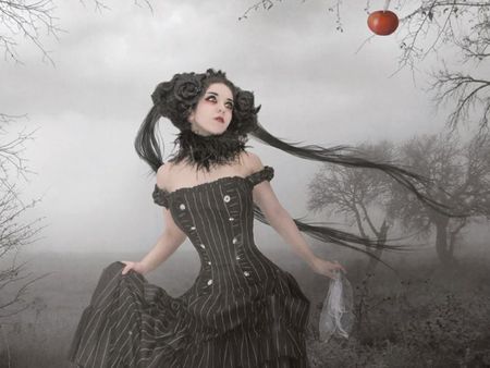 Gothinc beauty - black, fog, beautiful, dress, forest, apple, dark