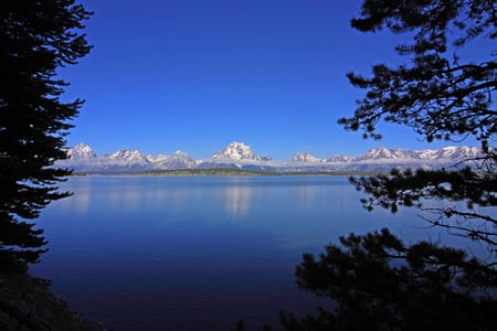 Jackson Lake - lake, trees, beautiful, blue, grand teton national park, mountains, jackson