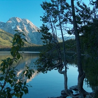 Jenny Lake