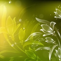 green - yellow abstract flower