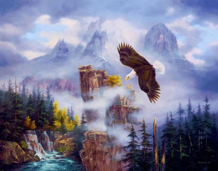 bald eagle - natur, eagle, birds, mountains