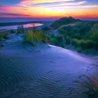 Dunes in the Netherlands