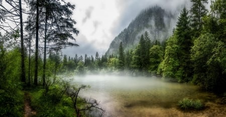 morning fog - lake, forest, mountains, fog