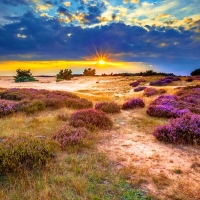 Hoge Veluwe National Park