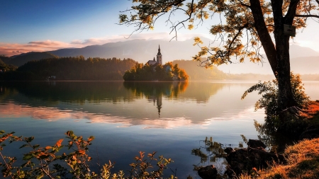 Lake Bled, Slovenia - trees, water, mist, island, morning, church, reflection, sky