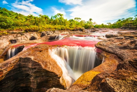 Multicoloured River In Colombia - river, colombia, water, rock