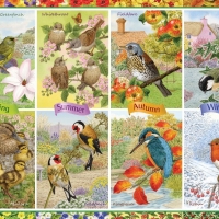 Seasonal garden birds collage