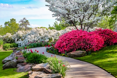Spring garden - path, garden, flowering, beautiful, tulips, spring, tree, fragrance, walk, park, freshness, blossoms, blooming, scent, alley