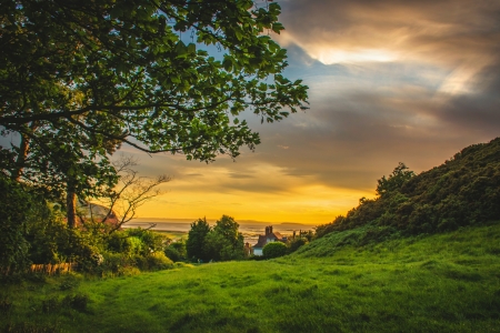 Nature - clouds, trees, UHD, beauty, sunsets, nature, green, field, sky