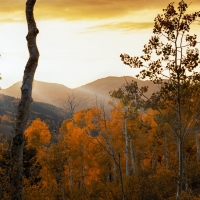 Last light in BiCottonwood Canyon, Wasatch Range, Utah