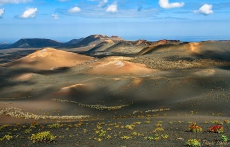 Dunes in Canary Islands - national park, islands, dunes, desert, Spain