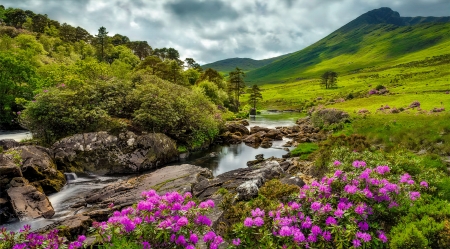 Mountain stream - summer, flow, beautiful, slope, stream, spring, grass, stones, brook, wildflowers, river