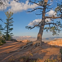 Bryce Canyon, Utah