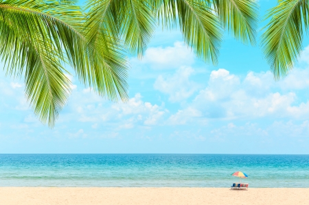 Summer beach - Sand, Palm trees, Sky, Paradise