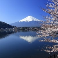 Spring in Japan