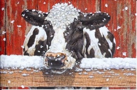 cow in the snow - snow, country, farm, cows