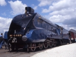 4468 Mallard
