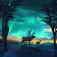 Deer at Aurora Borealis