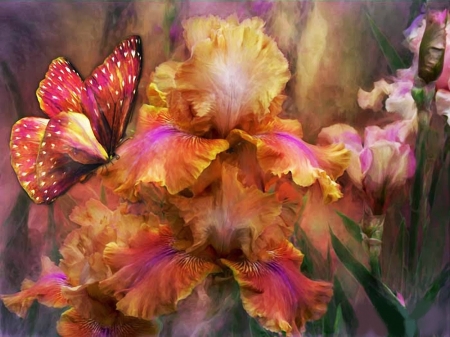 Irises and butterfly - summer, iris, art, carol cavalaris, flower, fluture, orange, vara