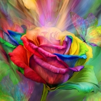 Rainbow rose