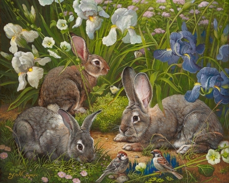 rabbits in the garden