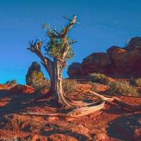 Arches National Park, Utah