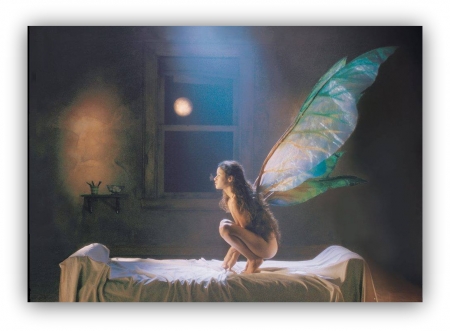 little fairy - abstract, elf, fairy, fantasy
